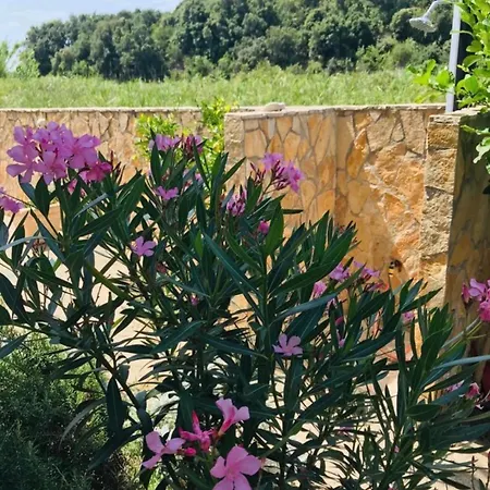 Apartman Rab,new Kampor