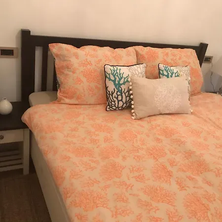 Apartment Rab,new *